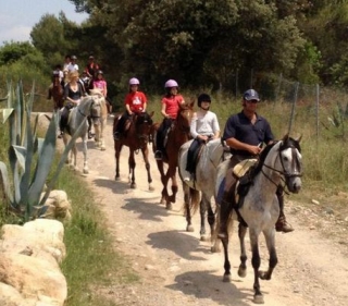 Rutas a caballo